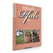eBook Pfalz Plus