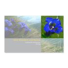 Vom Wandern und Rasten