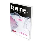 Lawine. Die entscheidenden Probleme und Gefahrenmuster erkennen