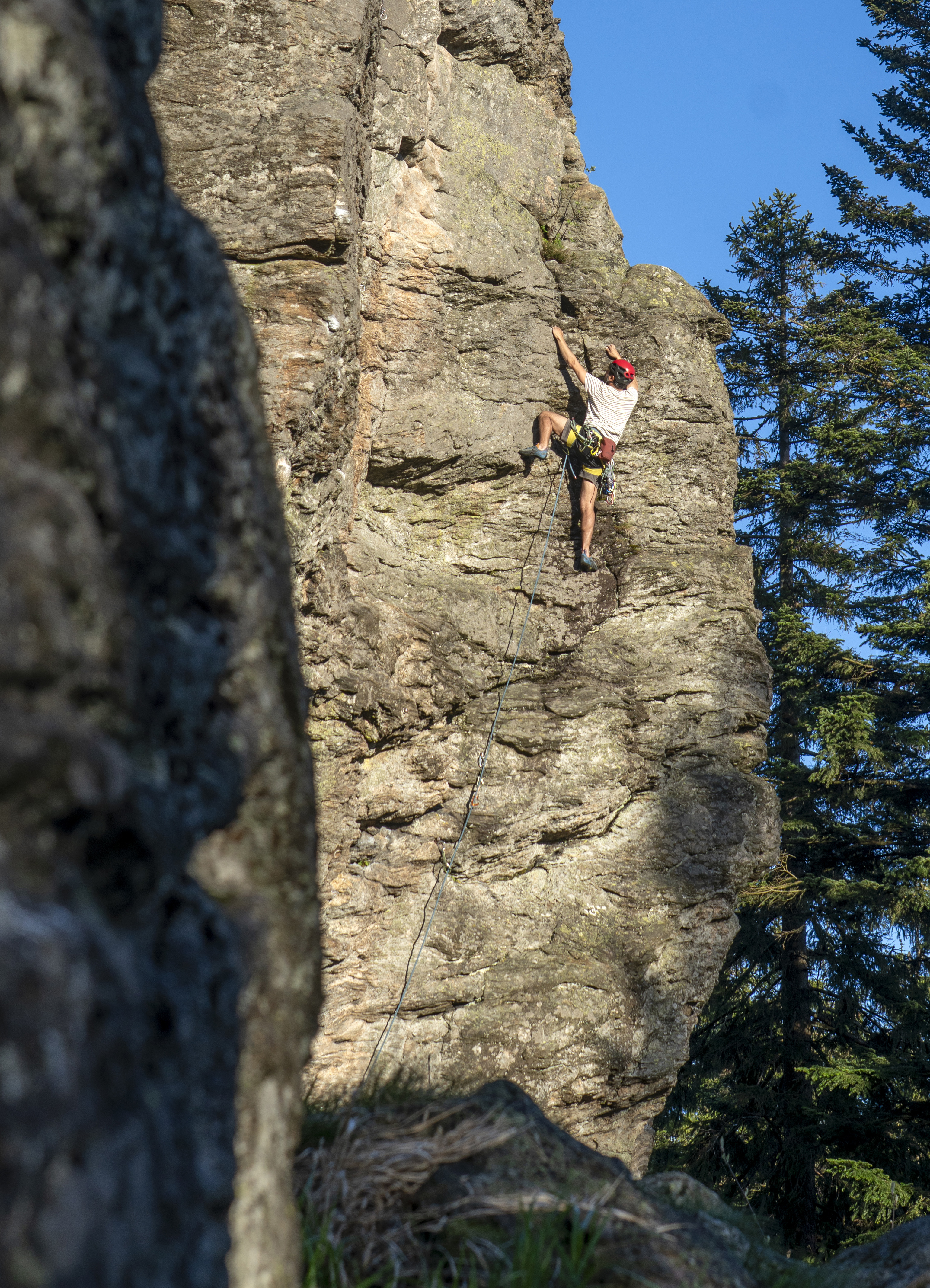 Topo des Monats März 2026