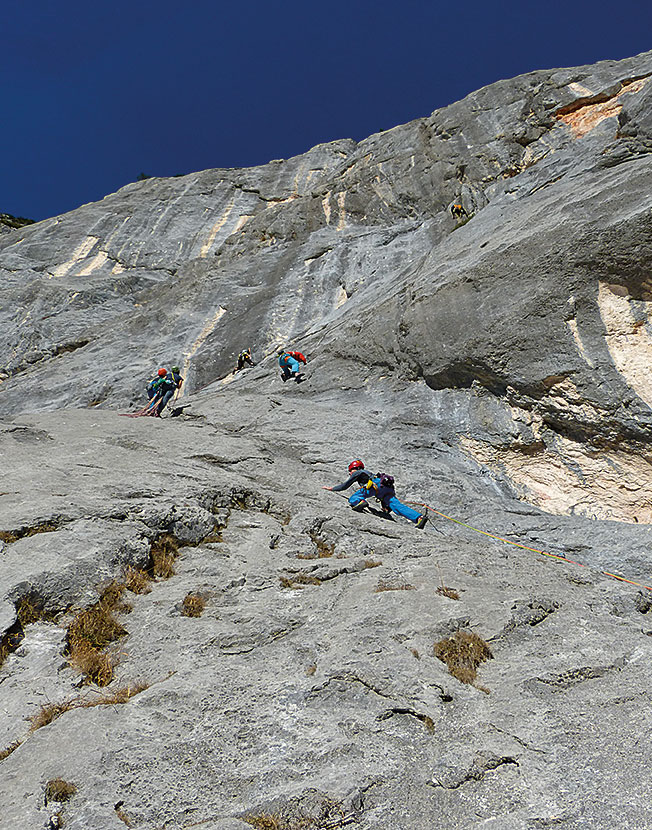 Topo des Monats Juni 2020