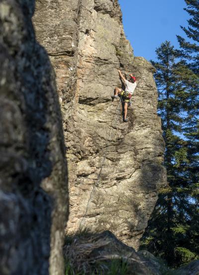 Topo des Monats März 2026