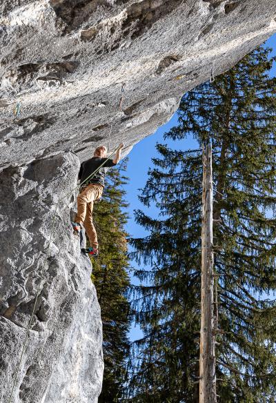 Topo des Monats November 2024