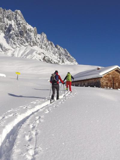 Topo des Monats November 2025