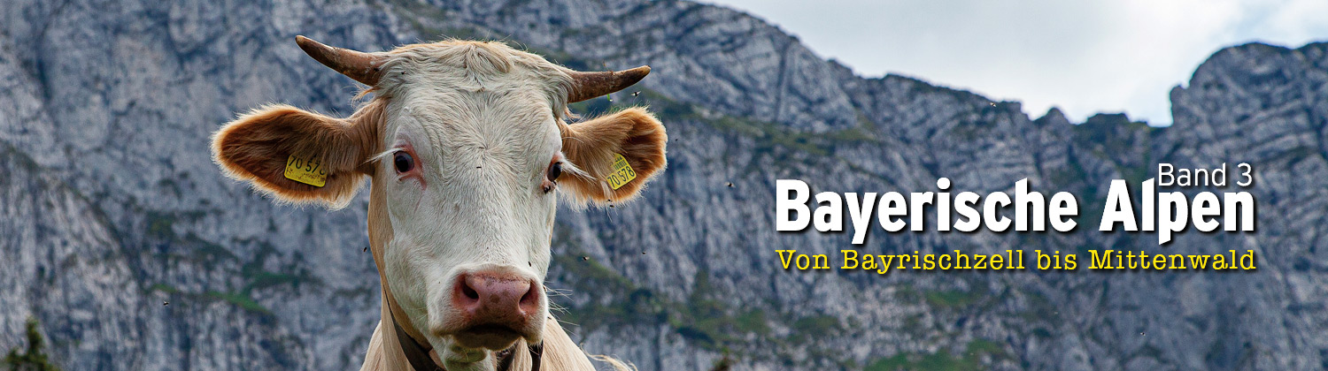 Kletterführer Bayerische Alpen Band 3